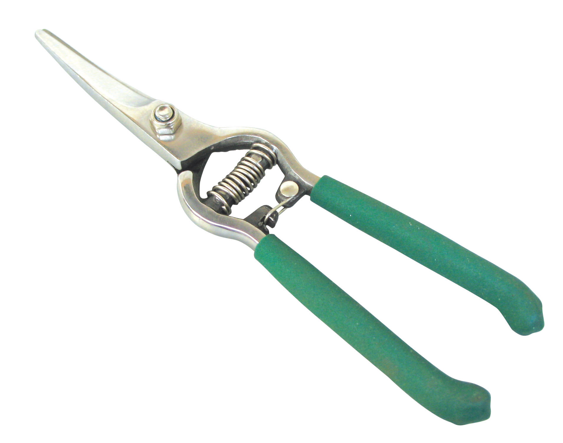 245