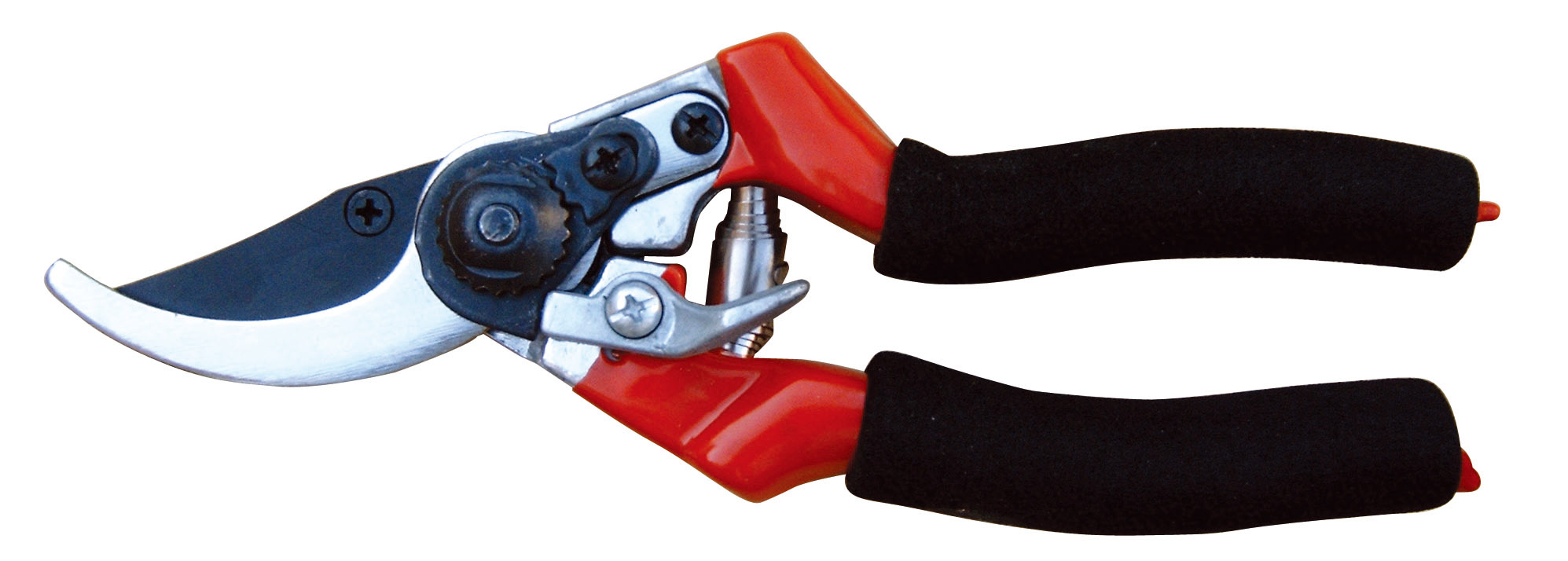 252