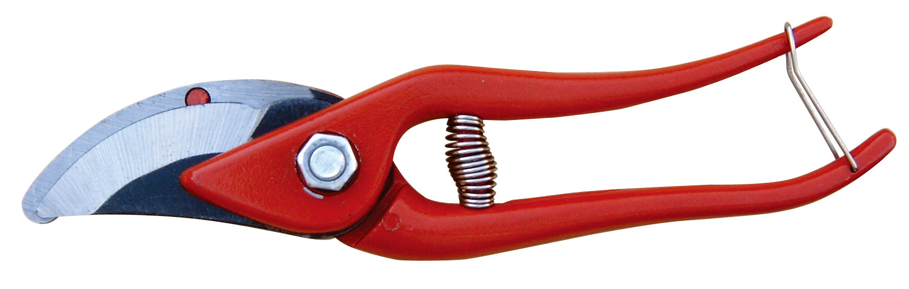 256